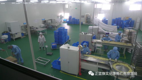 融入千年草原文化的企业智慧 ——记正蓝旗长虹乳制品厂在第九届察干伊德大会上的资询新思维